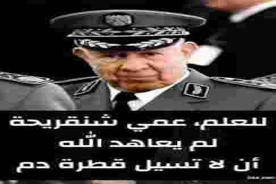 شاهد: بلطجية سعيد شنقريحة يعتدون على المتظاهرين (من النساء وأطفال) بالأسلحة البيضاء