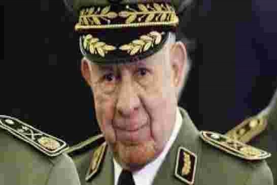 قائد العصابة الجديد شنقريحه يكشر على انيابه