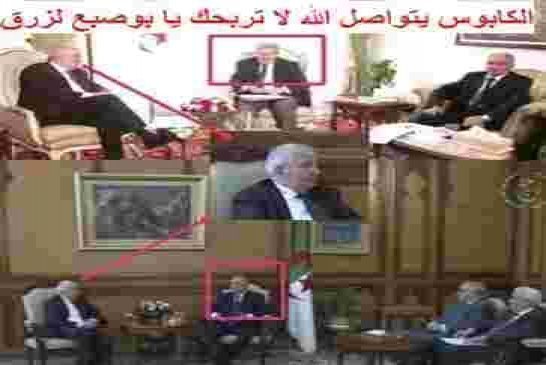 جاب الله بعد التشيات يستبعد أن يحدث تغيير جذري للنظام جراء التعديل الدستوري المرتقب