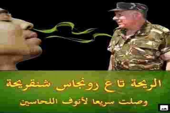 نظام عصابة السعيد شنقريحة يكشر عن أنيابه ويطلق حملة اعتقالات عشوائية  لنشطاء الحراك