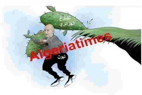 زيارات مرتقبة لعمي تبون للولايات التي قاطعت الانتخابات المزورة لإكتساب الشرعية