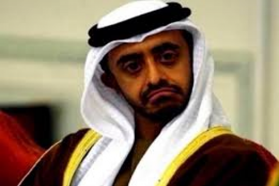 وزير خارجية الإمارات عبر حسابه في "تويتر" يدعو الفلسطينيين لقبول “صفعة القرن”