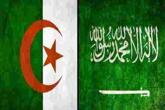مجلس الوزراء السعودي يوافق على “إنشاء مجلس التنسيق الأعلى السعودي الجزائري”
