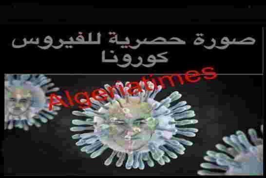 هل أصيب عمي تبون بفيروس كورونا المغرب الخطير حتى الهلوسة