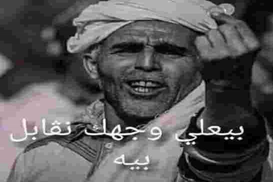 وزير التجارة كمال رزيق ألمانيا ستستفيد من التجربة الجزائرية في منطقة التبادل الحر العربي و الإفريقي