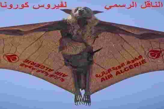 تحت إشراف الراعي الرسمي لفيروس كورونا رحلة جوية لإجلاء الجزائريين من إيطاليا غدا