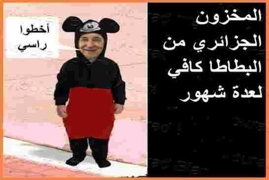 بشرى سارة..  المخزون الجزائري من البطاطا كافي لعدة شهور