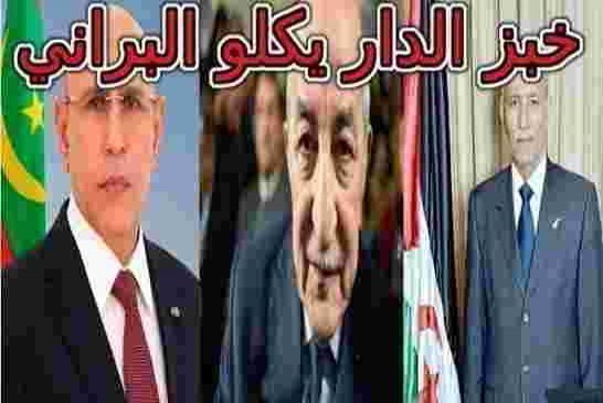سكان البليدة سنموت بالجوع قبل أن تقتلنا كورنا وتبون يطالب الشعب بالتبرعات لدعم دول الجوار
