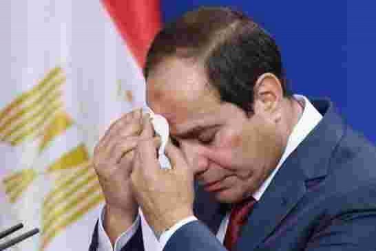 كورونا يهدد بزوال مملكة السيسي