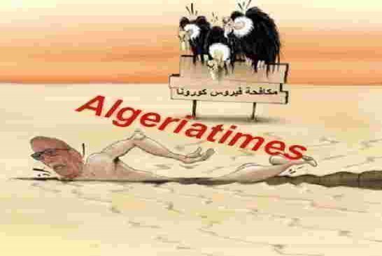 قرار مجلس الأمن حول الصحراء يصيب الجزائر بسكة دماغية بعد سكتة كرونا الإقتصادية