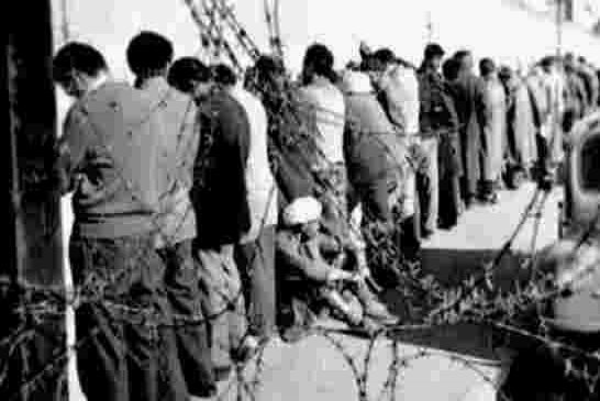 فرنسا تفتح الأرشيف الخاص بمفقودي حرب التحرير