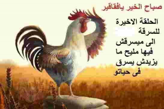 وزير الطاقة يكشف عن احتياطي البترول في الجزائر يبلغ 1340 مليون طن يكفي لمدة 27 سنة