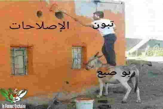 هل وضع الجزائر الإقتصادي يستطيع تجاوز عقبة كورونا؟