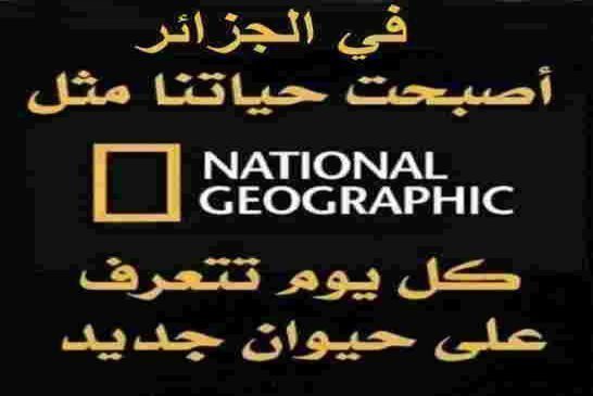 للهروب من المشاكل الاقتصادية نظام العصابة يستغل كورونا ويعتقل الأحرار ليدفع بالوضع إلى الاحتقان