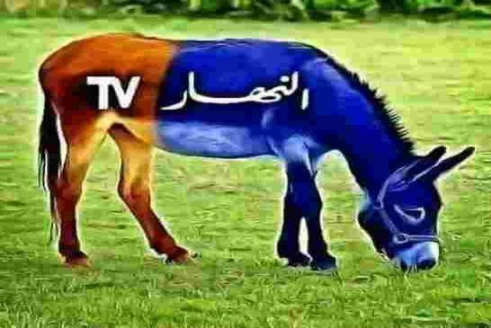 يحصل في يابان افريقيا فقط مربي أغنام جزائري يكتشف علاج لكورونا