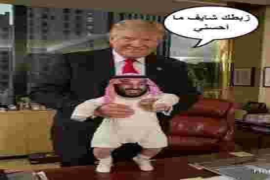 “ذا أمريكان كونسيرفاتيف”: تدعو البيت الأبيض للتخلص من العبء السعودي إلى الأبد