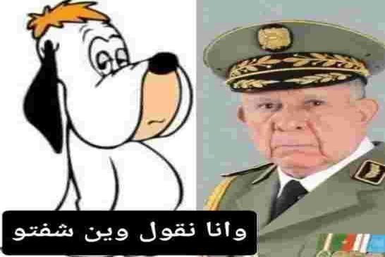 يا شعب الحراك بعد فضيحة انتشار اللواط  في الجيش الجزائري هل ترضى أن ترفع شعار: الشعب الجيش خاوا خاوا