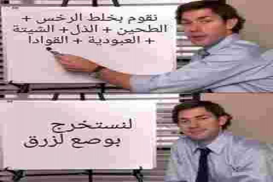 العصابة شبعات الشعب بالمقروط من بوناطيرو الى الباحثة مريم التي في القريب العاجل ستجد لقاح لكورونا