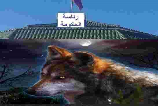 في ظل تفشي كورونا وخرجات رئيس الدئاب الملتحية البهلوانية تثير خوف المغاربة