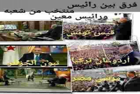 تبون الغبارجي فاقد للشرعية لا يثق فيه الشباب الجزائري الحر