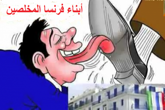الجزائر تهدد بقطع علاقاتها الاقتصادية مع فرنسا