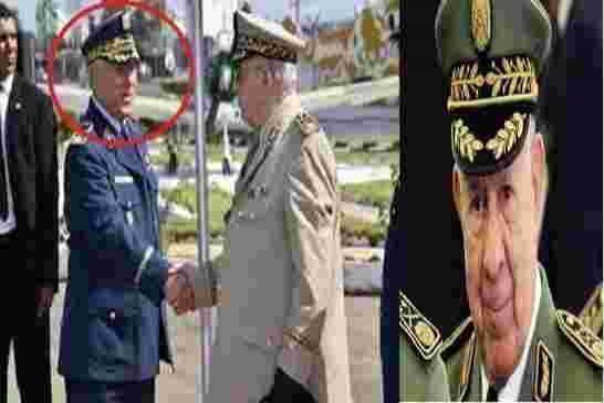 سمكة ولد البوهالي شنقريحة يتغذى باللواء حميد بومعيزة قبل أن يتعشى به