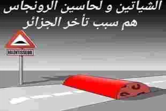 البرلمان يصادق على قانون مالية سيدخل الجزائر الى سنوات عجاف بدون سنابل