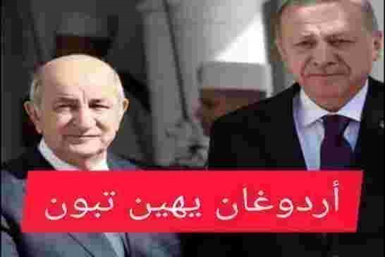 حصري:على إثر مساعدة حفتر بدعم عسكري أردوغان يهين تبون ويناديه بالكرغلي انتم أبنائنا