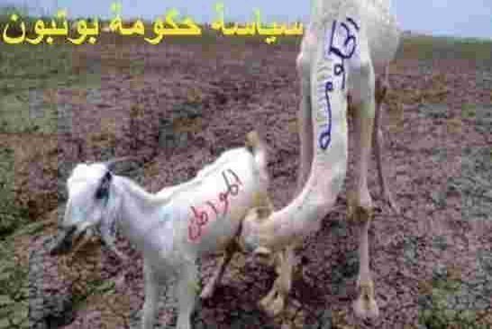 وزير الطاقة ينصح بتكتيف البحث عن مداخيل جديدة خارج قطاع المحروقات