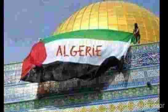 الجزائر تشارك في ملتقى دولي حول فلسطين