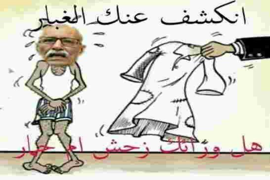 البرلمان الأوروبي يستفيق من غيبوبة بترودولار ويطالب بإحصاء ساكنة تندوف وافتحاص المساعدات