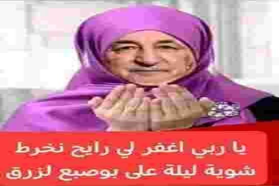 تبّون يتأسف والإيمان يتقاطر كالمطر تمنّيت أداء صلاة عيد الأضحى في الجامع