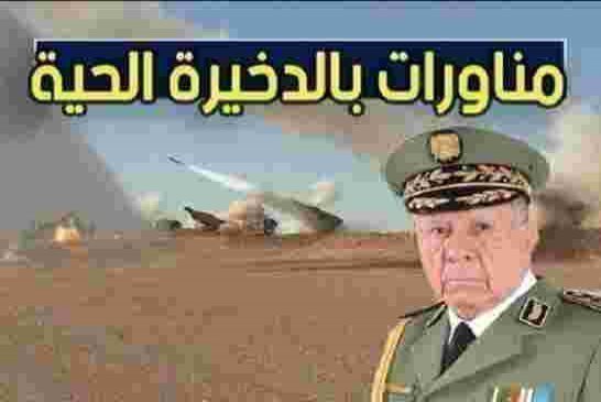 غلام البوهالي شنقريحة يبرمج عدة مناورات للحصول على عمولات بملايين الدولارات من أموال الشعب الجزائري