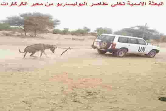 رغم الضجيج وعرقلة البوليساريو لحركة السير بالكركرات مجلس الأمن يستتني ملف الصحراء من إجتماعاته لشهر