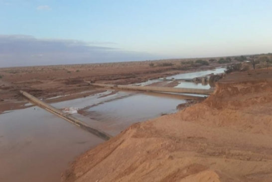 مديرية البيئة يحدر من تأثر التنوع البويولوجي بالوادي بسبب التسرب النفطي