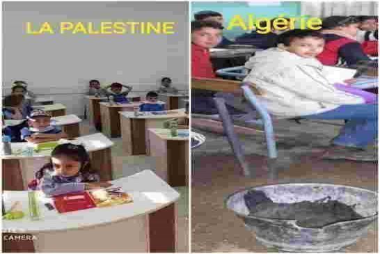 التعليق لكم ؟
