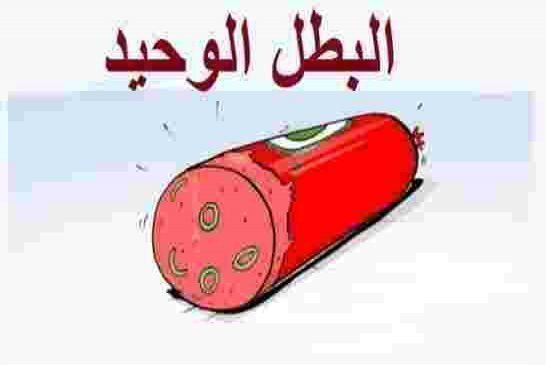 الأفلان يتعهد لتبون بتنظيم حملة كاشير كبرى لدعم مشروع الدستور