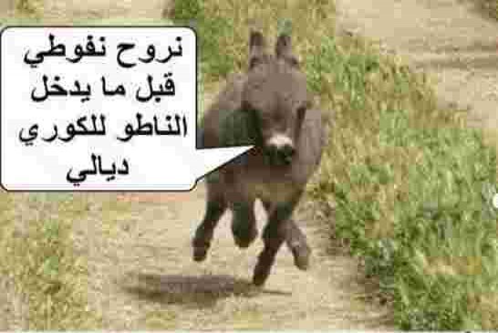 بلعيد: دستور تبون يضمن الاستقرار يوقف تدخل الناتو في الجزائر