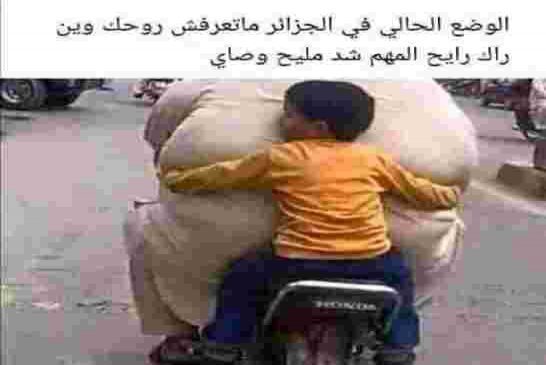 سلطة الضبط تطالب سلطة القمع برفع الحظر على المواقع الالكترونية