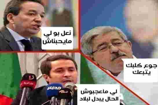 في بلاد ميكي...كيف أصبح نائب وزير مكلف بشتم الجزائريين