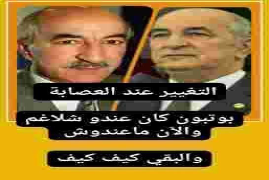 الحراقة الجزائريون يغزون السواحل الإسبانية هربا من جزائر تبون الجديدة
