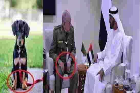 هل يصبح الجنرال شنقريحة هو سيسي الجزائر بعد وفاة الرئيس تبون