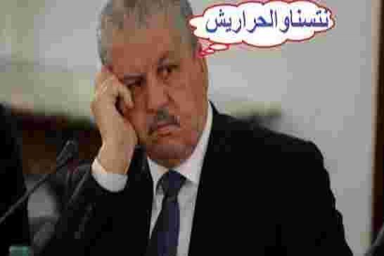 سلال يكشف عن حقيقة فضيحة صناعة السيارات لنفخ العجلات