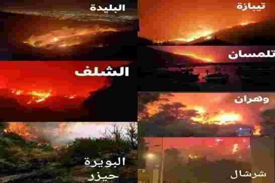 من المسؤول عن حرائق الجزائر؟