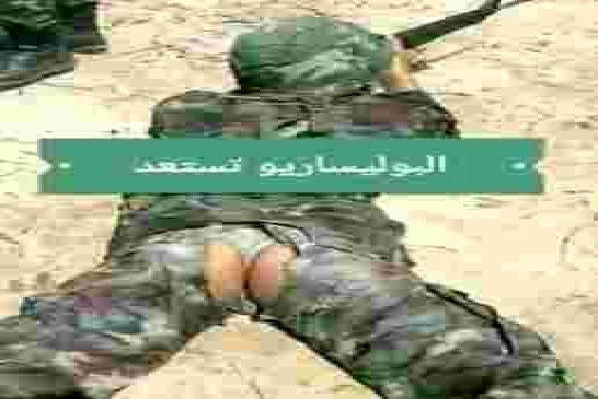 فرار قطاع الطرق من الكركرات بعد تدخل الجيش المغربي والبوليساريو تروج لاندلاع مواجهات عسكرية في الأحل