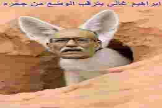 الكوميديا: بيان البوليساريو العسكري رقم 3 يخرط على سكان المخيمات اعمدة نار وسماع دوي انفجارات في الر