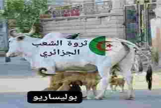 "البوليساريو" ماهي إلآ مافيا لقطاع الطرق والتهريب تحركها الجزائر من أجل لفت الأنظار على أزماتها الدا