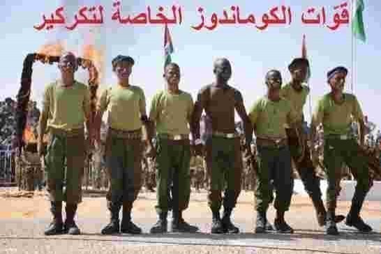 الصحفي الليلي: معارك البوليساريو مع المغرب تخلف قتيلان و 17 مصاب بالضحك الهستيري وهروب الجيش المغربي