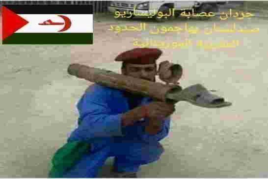 أمير ديزاد يتمسخر بحرب البوليساريو الوهمية من داخل الخيام