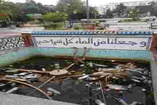 الجزائر في جملة واحدة و في صورة أليمة